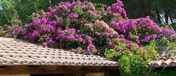 Camping Camping&village Le Cernie Lotzorai