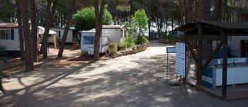 Camping&village Le Cernie Campsite 3*